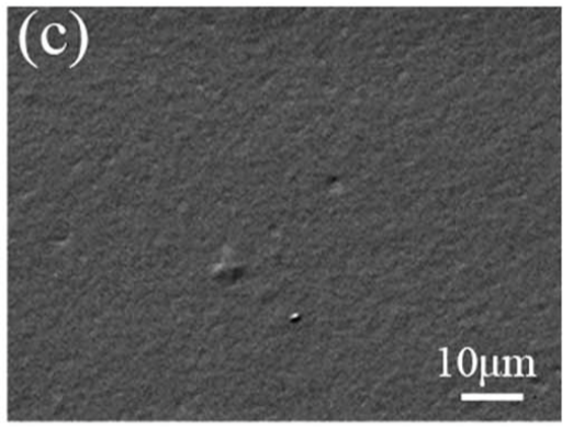 Image for comparison to the above. The surface resin coated in WPU at 1000x zoom. Via: