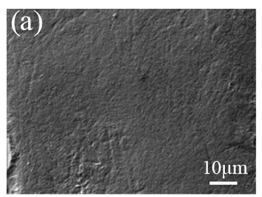 Image for comparison to the below. The surface of a 3D printed resin scaffold at 1000x Image via: