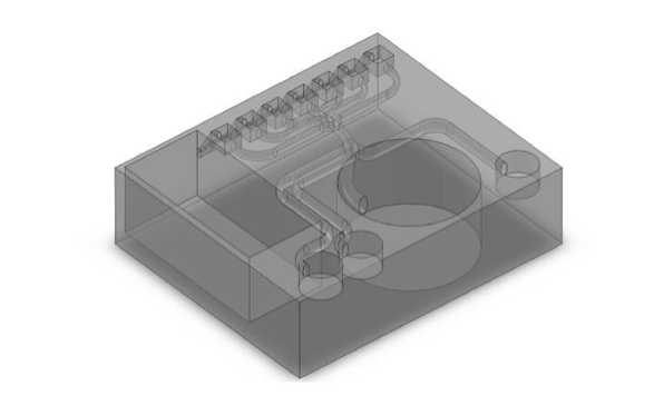 3D Model of an Immunoassay with Embedded Channels (image courtesy Maria Bauer/UCI)
