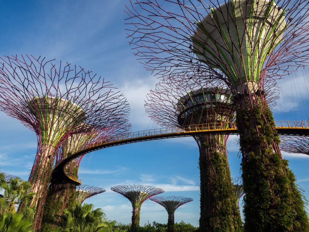 Singapore's metal Supertrees technologically support the city's natural ecosystem Photo by: Tatsuya Fukata on Flickr